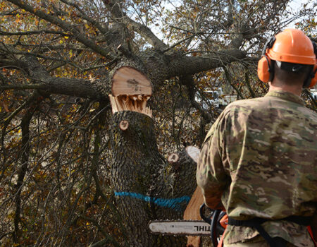 Brush Saw Safety Awareness