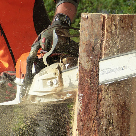 Chainsaw Safety Awareness