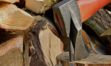 Domestic Wood Cutting Permits Available